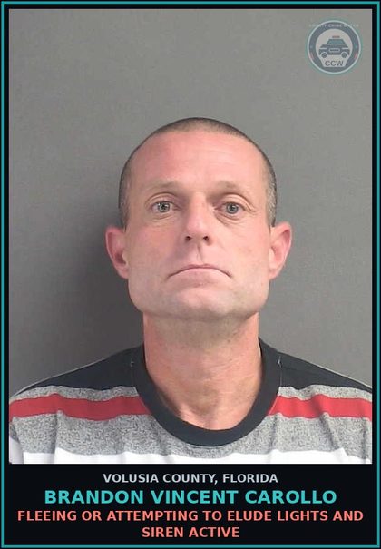 CCW arrest card for BRANDON VINCENT CAROLLO in Volusia County: FLEEING OR ATTEMPTING TO ELUDE LIGHTS AND SIREN ACTIVE