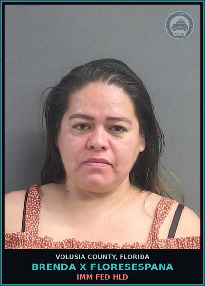 CCW arrest card for BRENDA X FLORESESPANA in Volusia County: IMM FED HLD