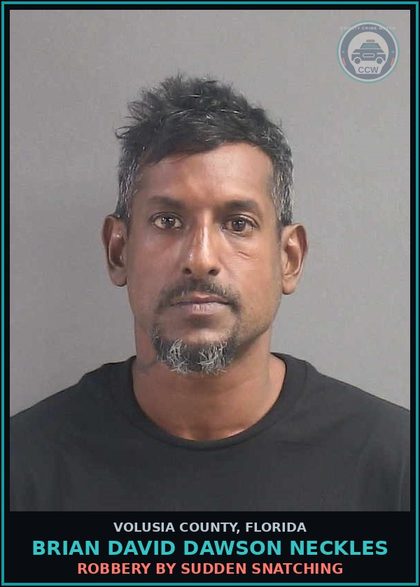 CCW arrest card for BRIAN DAVID DAWSON NECKLES in Volusia County: CYBER STALKING