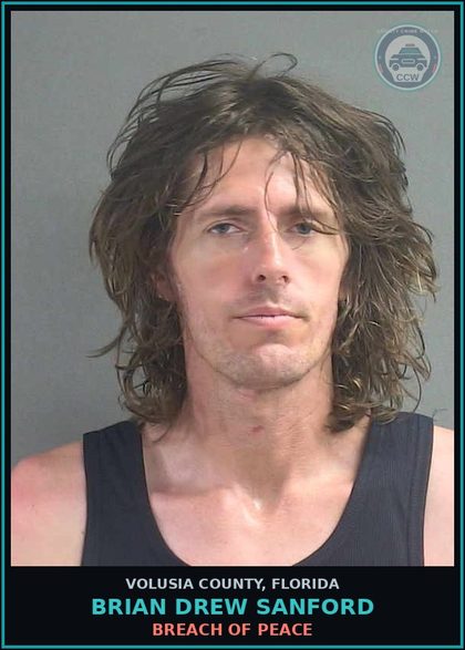 CCW arrest card for BRIAN DREW SANFORD in Volusia County: BREACH OF PEACE