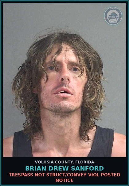 CCW arrest card for BRIAN DREW SANFORD in Volusia County: TRESPASS NOT STRUCT/CONVEY VIOL POSTED NOTICE