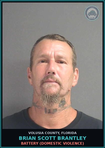 CCW arrest card for BRIAN SCOTT BRANTLEY in Volusia County: BATTERY (DOMESTIC VIOLENCE)