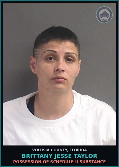 CCW arrest card for BRITTANY JESSE TAYLOR in Volusia County: POSSESSION OF SCHEDULE II SUBSTANCE