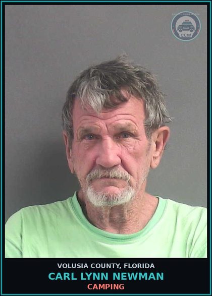CCW arrest card for CARL LYNN NEWMAN in Volusia County: CAMPING