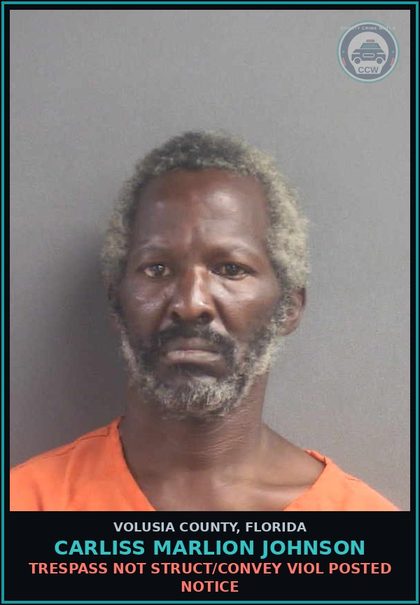 CCW arrest card for CARLISS MARLION JOHNSON in Volusia County: TRESPASS NOT STRUCT/CONVEY VIOL POSTED NOTICE