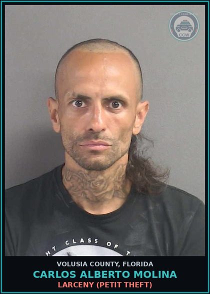 CCW arrest card for CARLOS ALBERTO MOLINA in Volusia County: LARCENY (PETIT THEFT)