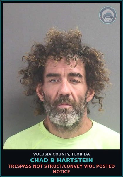 CCW arrest card for CHAD B HARTSTEIN in Volusia County: TRESPASS NOT STRUCT/CONVEY VIOL POSTED NOTICE