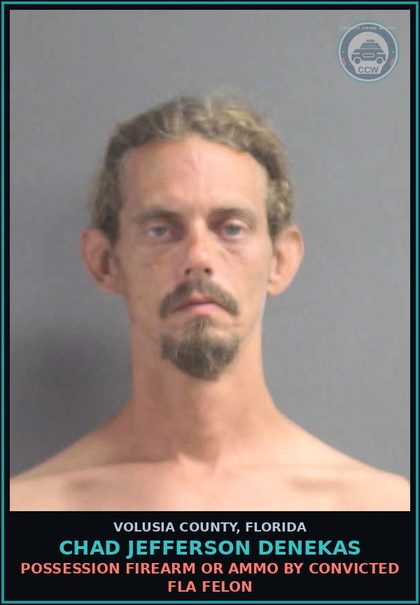 CCW arrest card for CHAD JEFFERSON DENEKAS in Volusia County: POSSESSION FIREARM OR AMMO BY CONVICTED FLA FELON