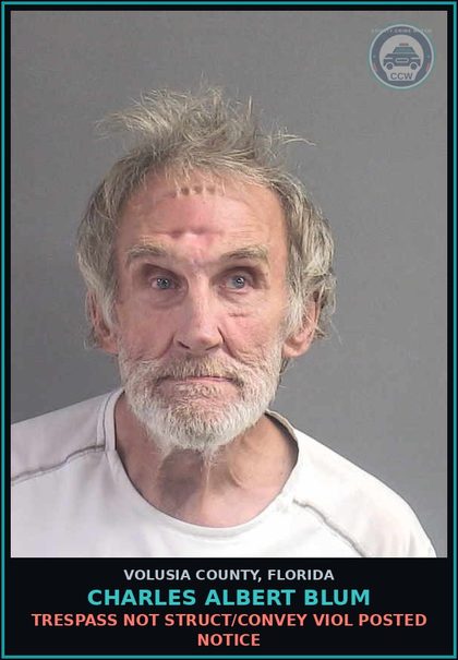 CCW arrest card for CHARLES ALBERT BLUM in Volusia County: TRESPASS NOT STRUCT/CONVEY VIOL POSTED NOTICE