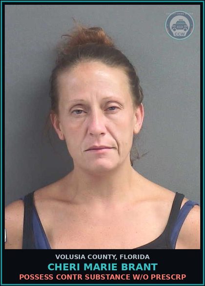 CCW arrest card for CHERI MARIE BRANT in Volusia County: POSSESS CONTR SUBSTANCE W/O PRESCRP