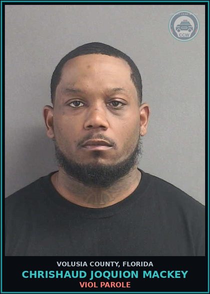 CCW arrest card for CHRISHAUD JOQUION MACKEY in Volusia County: VIOL PAROLE