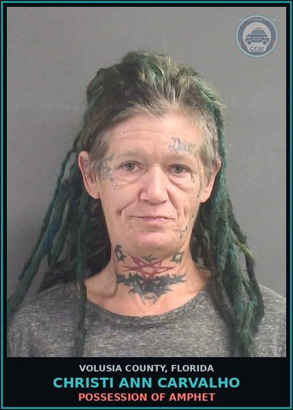 CCW arrest card for CHRISTI ANN CARVALHO in Volusia County: FAILURE OF S3X OFFENDER TO PROPERLY REGISTER