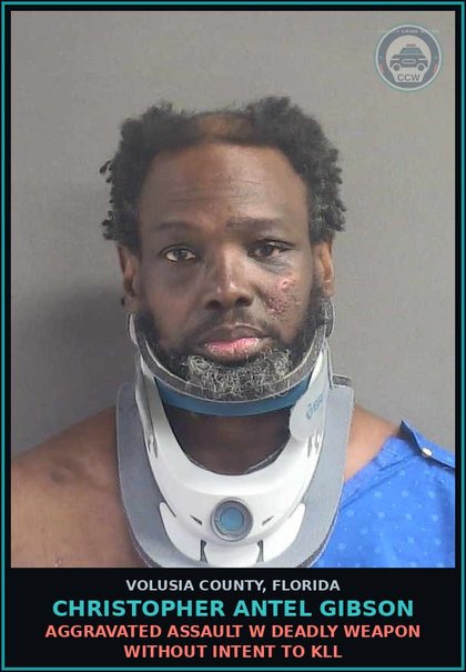 CCW arrest card for CHRISTOPHER ANTEL GIBSON in Volusia County: AGGRAVATED ASSAULT W DEADLY WEAPON WITHOUT INTENT TO KLL