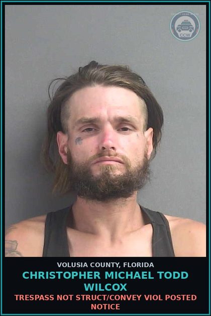 CCW arrest card for CHRISTOPHER MICHAEL TODD WILCOX in Volusia County: TRESPASS NOT STRUCT/CONVEY VIOL POSTED NOTICE
