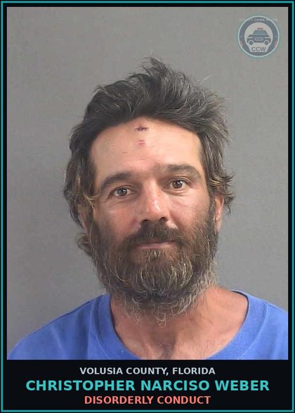 CCW arrest card for CHRISTOPHER NARCISO WEBER in Volusia County: DISORDERLY CONDUCT