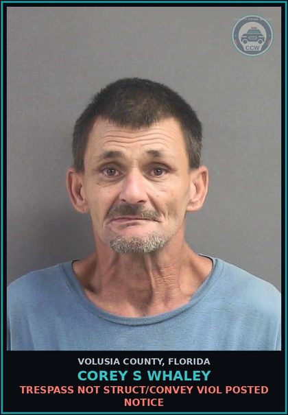 CCW arrest card for COREY S WHALEY in Volusia County: TRESPASS NOT STRUCT/CONVEY VIOL POSTED NOTICE
