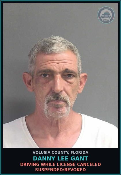 CCW arrest card for DANNY LEE GANT in Volusia County: DRIVING WHILE LICENSE CANCELED SUSPENDED/REVOKED