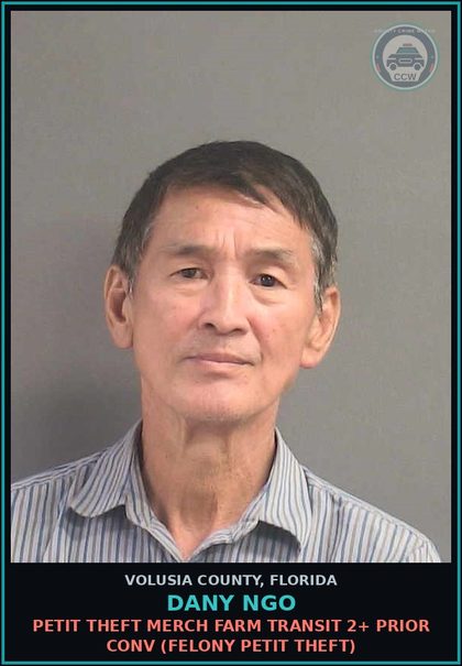 CCW arrest card for DANY NGO in Volusia County: PETIT THEFT MERCH FARM TRANSIT 2+ PRIOR CONV (FELONY PETIT THEFT)