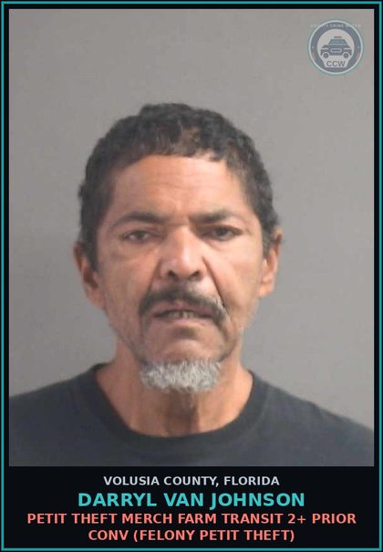 CCW arrest card for DARRYL VAN JOHNSON in Volusia County: PETIT THEFT MERCH FARM TRANSIT 2+ PRIOR CONV (FELONY PETIT THEFT)