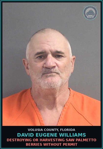 CCW arrest card for DAVID EUGENE WILLIAMS in Volusia County: DESTROYING OR HARVESTING SAW PALMETTO BERRIES WITHOUT PERMIT