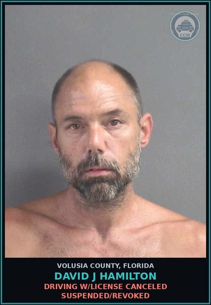 CCW arrest card for DAVID J HAMILTON in Volusia County: DRIVING W/LICENSE CANCELED SUSPENDED/REVOKED
