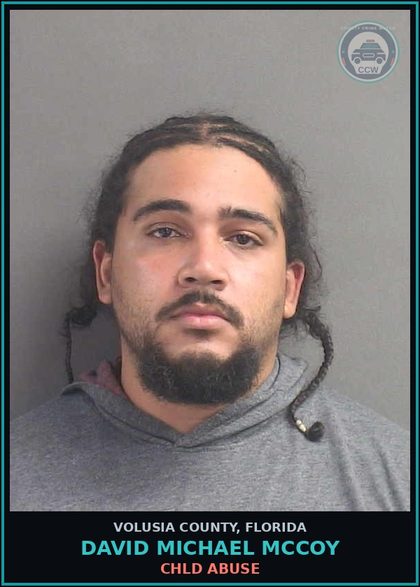 CCW arrest card for DAVID MICHAEL MCCOY in Volusia County: CHLD ABUSE