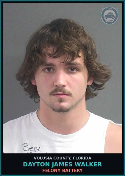 CCW arrest card for DAYTON JAMES WALKER in Volusia County: FELONY BATTERY