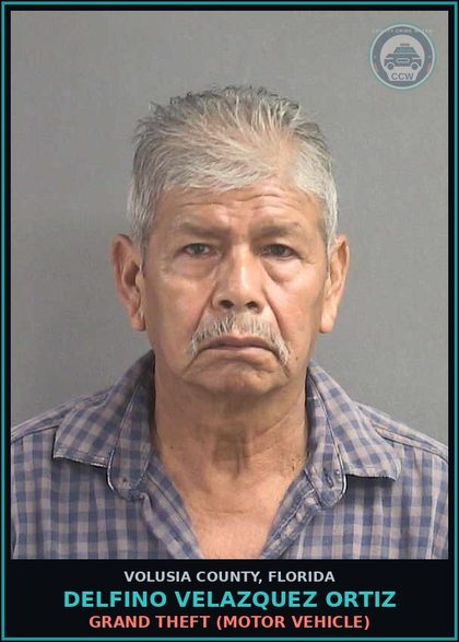 CCW arrest card for DELFINO VELAZQUEZ ORTIZ in Volusia County: GRAND THEFT (MOTOR VEHICLE)