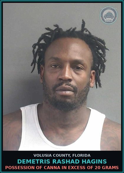 CCW arrest card for DEMETRIS RASHAD HAGINS in Volusia County: POSSESSION OF CANNA IN EXCESS OF 20 GRAMS