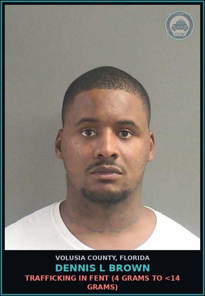 CCW arrest card for DENNIS L BROWN in Volusia County: TRAFFICKING IN FENT (4 GRAMS TO <14 GRAMS)