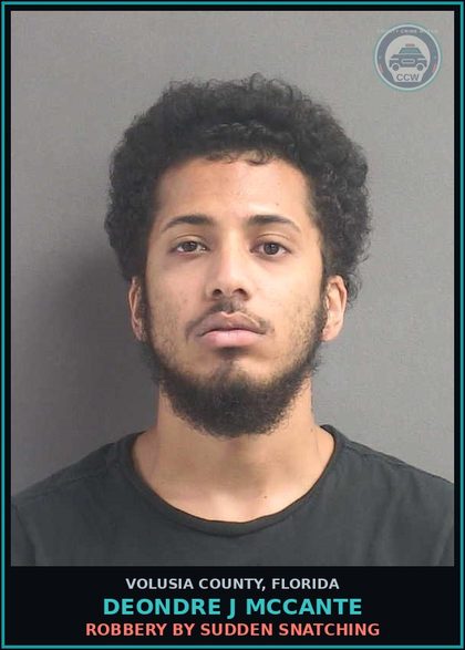 CCW arrest card for DEONDRE J MCCANTE in Volusia County: FLEEING OR ATTEMPTING TO ELUDE