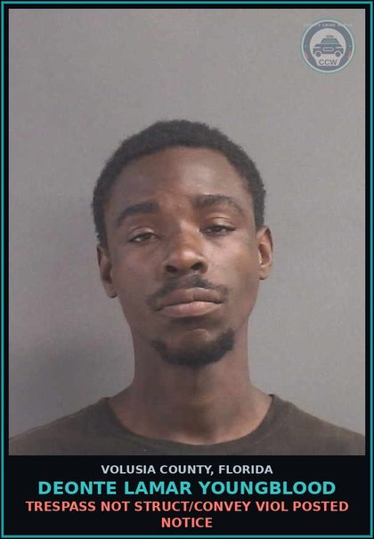 CCW arrest card for DEONTE LAMAR YOUNGBLOOD in Volusia County: TRESPASS NOT STRUCT/CONVEY VIOL POSTED NOTICE