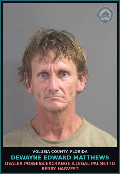 CCW arrest card for DEWAYNE EDWARD MATTHEWS in Volusia County: DEALER POSSESS/EXCHANGE ILLEGAL PALMETTO BERRY HARVEST