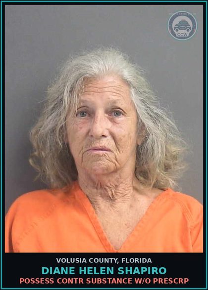 CCW arrest card for DIANE HELEN SHAPIRO in Volusia County: POSSESS CONTR SUBSTANCE W/O PRESCRP