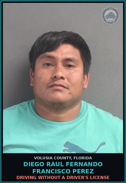 CCW arrest card for DIEGO RAUL FERNANDO FRANCISCO PEREZ in Volusia County: DRIVING WITHOUT A DRIVER'S LICENSE