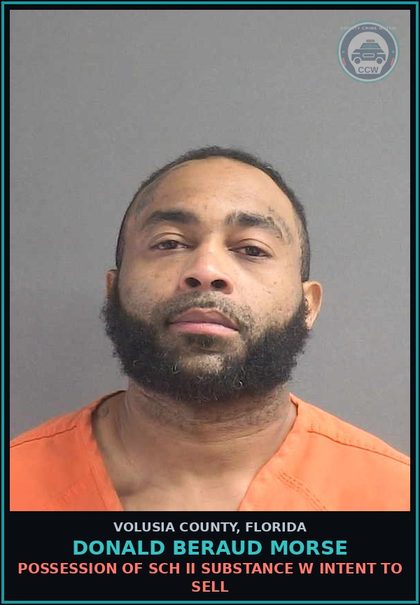 CCW arrest card for DONALD BERAUD MORSE in Volusia County: FLEEING OR ATTEMPTING TO ELUDE