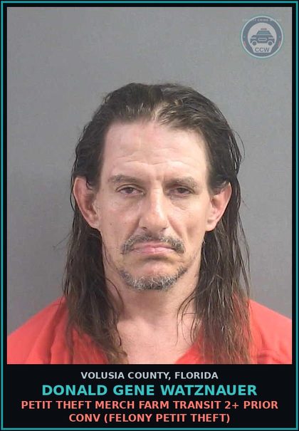 CCW arrest card for DONALD GENE WATZNAUER in Volusia County: PETIT THEFT MERCH FARM TRANSIT 2+ PRIOR CONV (FELONY PETIT THEFT)