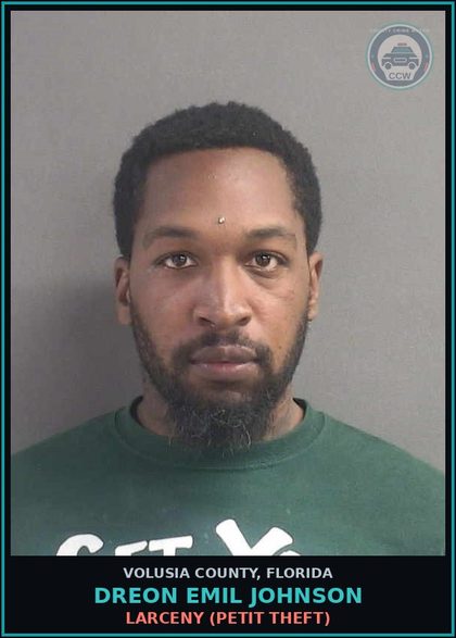CCW arrest card for DREON EMIL JOHNSON in Volusia County: LARCENY (PETIT THEFT)
