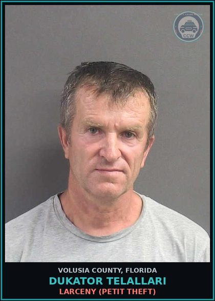 CCW arrest card for DUKATOR TELALLARI in Volusia County: LARCENY (PETIT THEFT)