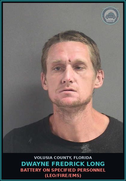 CCW arrest card for DWAYNE FREDRICK LONG in Volusia County: PETIT THEFT MERCH FARM TRANSIT 2+ PRIOR CONV (FELONY PETIT THEFT)