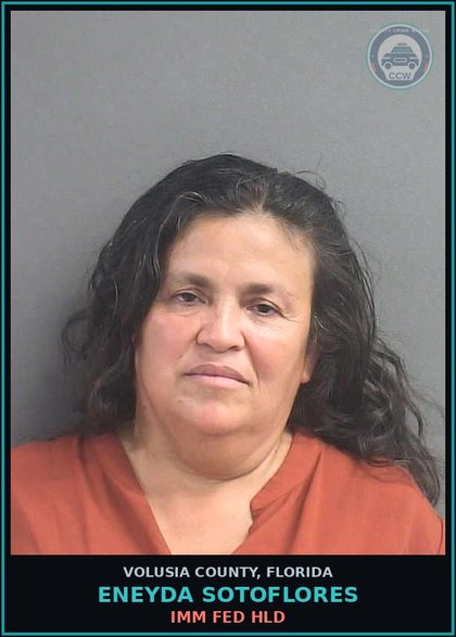 CCW arrest card for ENEYDA SOTOFLORES in Volusia County: IMM FED HLD