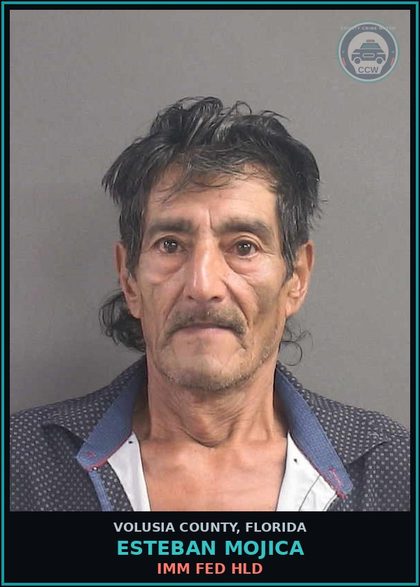 CCW arrest card for ESTEBAN MOJICA in Volusia County: IMM FED HLD