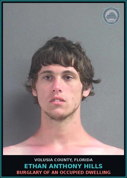 CCW arrest card for ETHAN ANTHONY HILLS in Volusia County: LARCENY (PETIT THEFT)