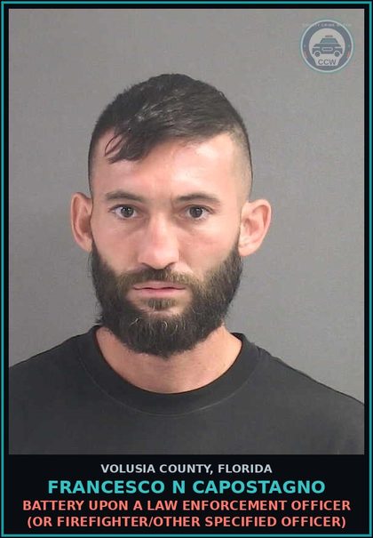 CCW arrest card for FRANCESCO N CAPOSTAGNO in Volusia County: BATTERY UPON A LAW ENFORCEMENT OFFICER (OR FIREFIGHTER/OTHER SPECIFIED OFFICER)