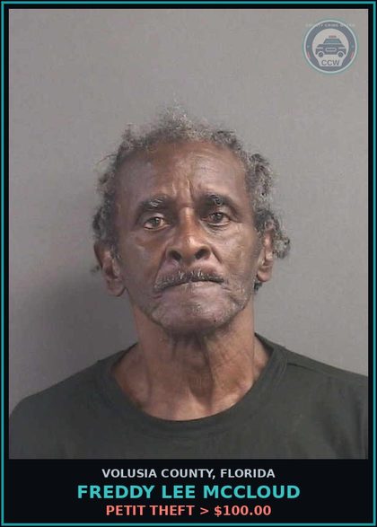CCW arrest card for FREDDY LEE MCCLOUD in Volusia County: PETIT THEFT > $100.00