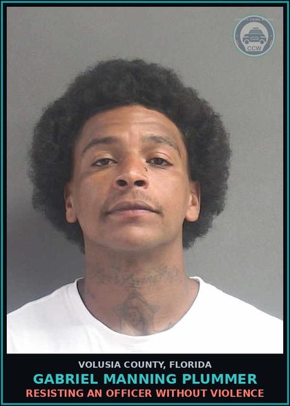 CCW arrest card for GABRIEL MANNING PLUMMER in Volusia County: DESTROYING OR HARVESTING SAW PALMETTO BERRIES WITHOUT PERMIT