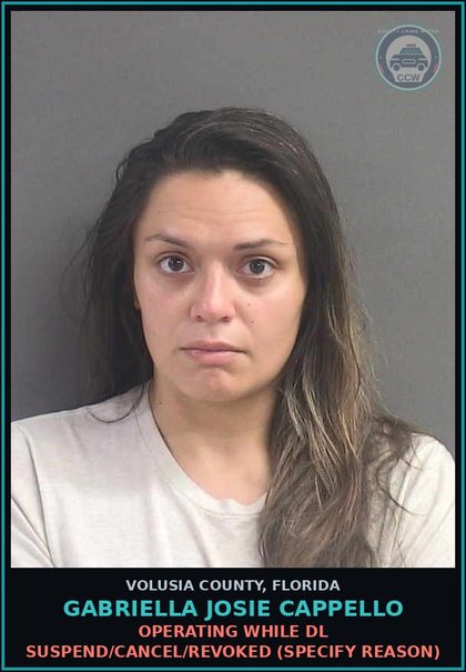 CCW arrest card for GABRIELLA JOSIE CAPPELLO in Volusia County: OPERATING WHILE DL SUSPEND/CANCEL/REVOKED (SPECIFY REASON)
