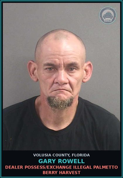 CCW arrest card for GARY ROWELL in Volusia County: DEALER POSSESS/EXCHANGE ILLEGAL PALMETTO BERRY HARVEST
