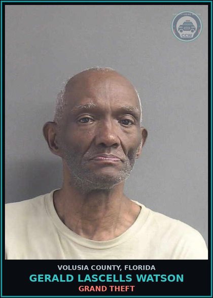 CCW arrest card for GERALD LASCELLS WATSON in Volusia County: GRAND THEFT