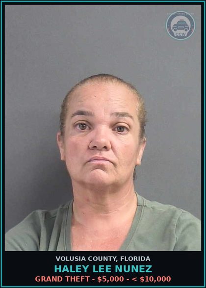 CCW arrest card for HALEY LEE NUNEZ in Volusia County: MAKE FALSE STATEMENT TO DEPT OF STATE